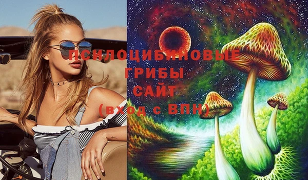 ECSTASY Армянск