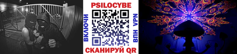 Псилоцибиновые грибы Cubensis  где купить   Барабинск 